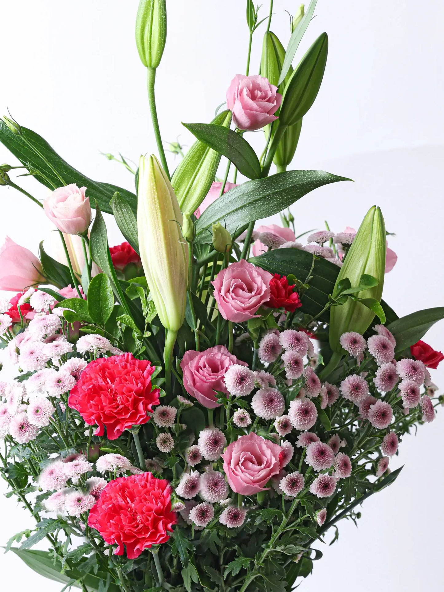 BLUSH AND BLOOM
