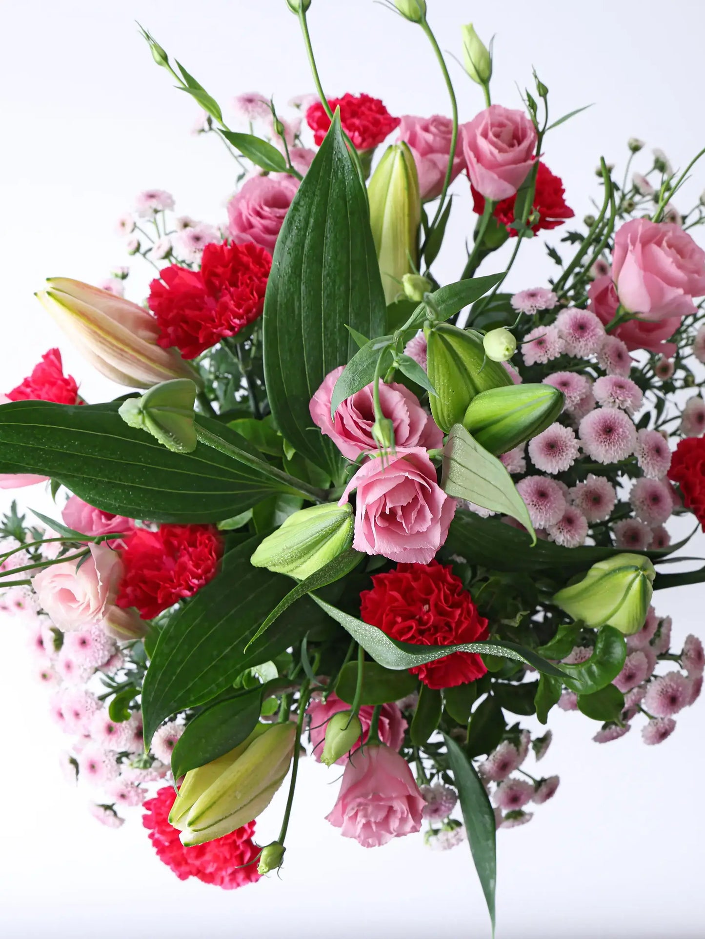 BLUSH AND BLOOM