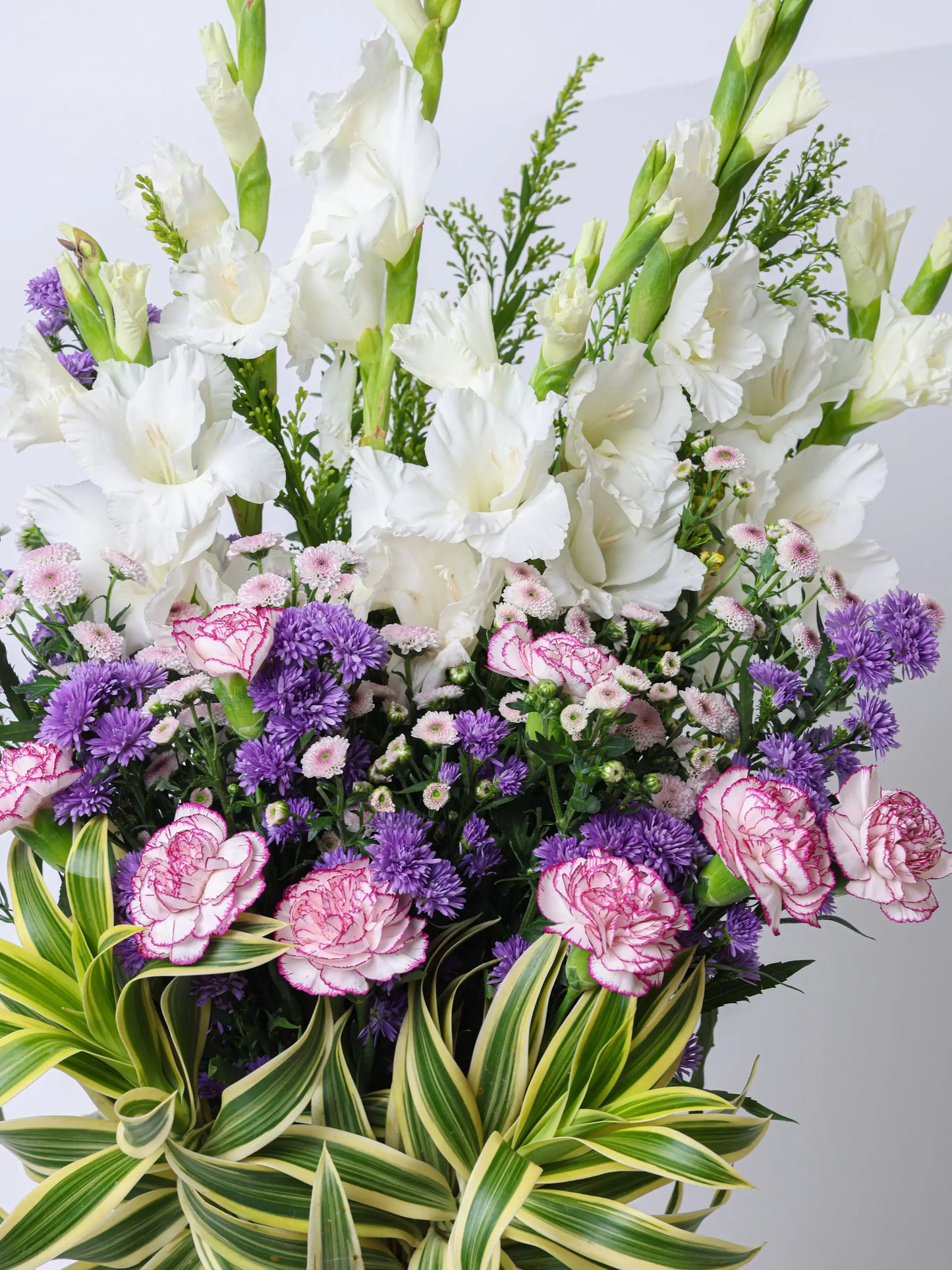 PURPLE PASSION