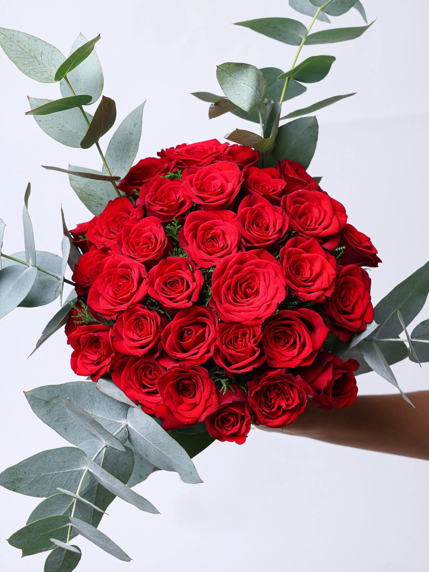 CRIMSON ELEGANCE