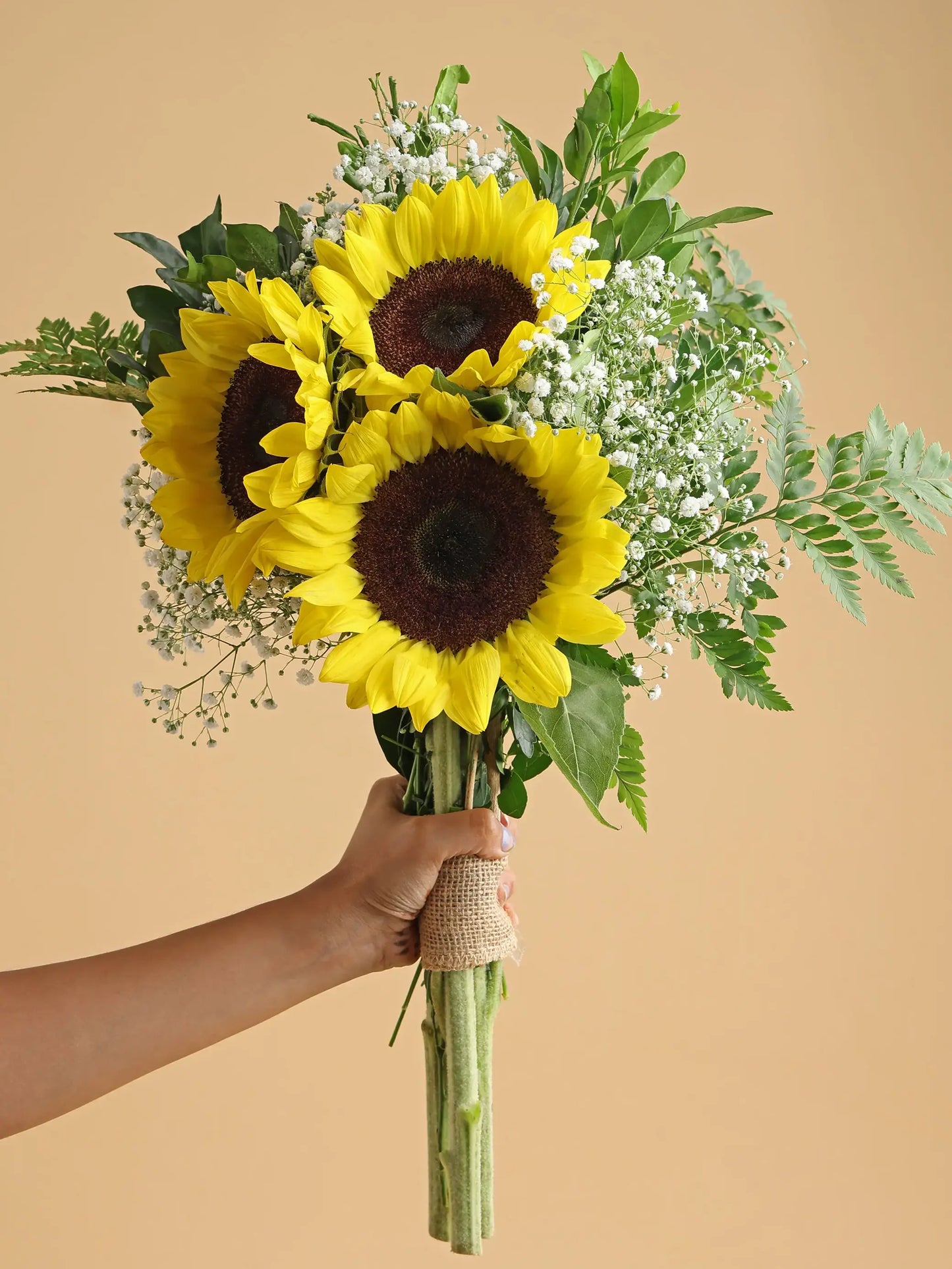 SUNSHINE HARMONY