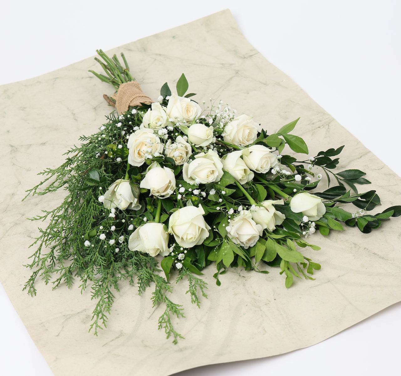 WHITE SOFTY