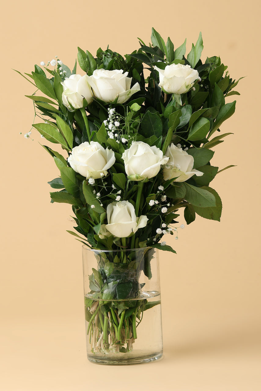 WHITE SOFTY