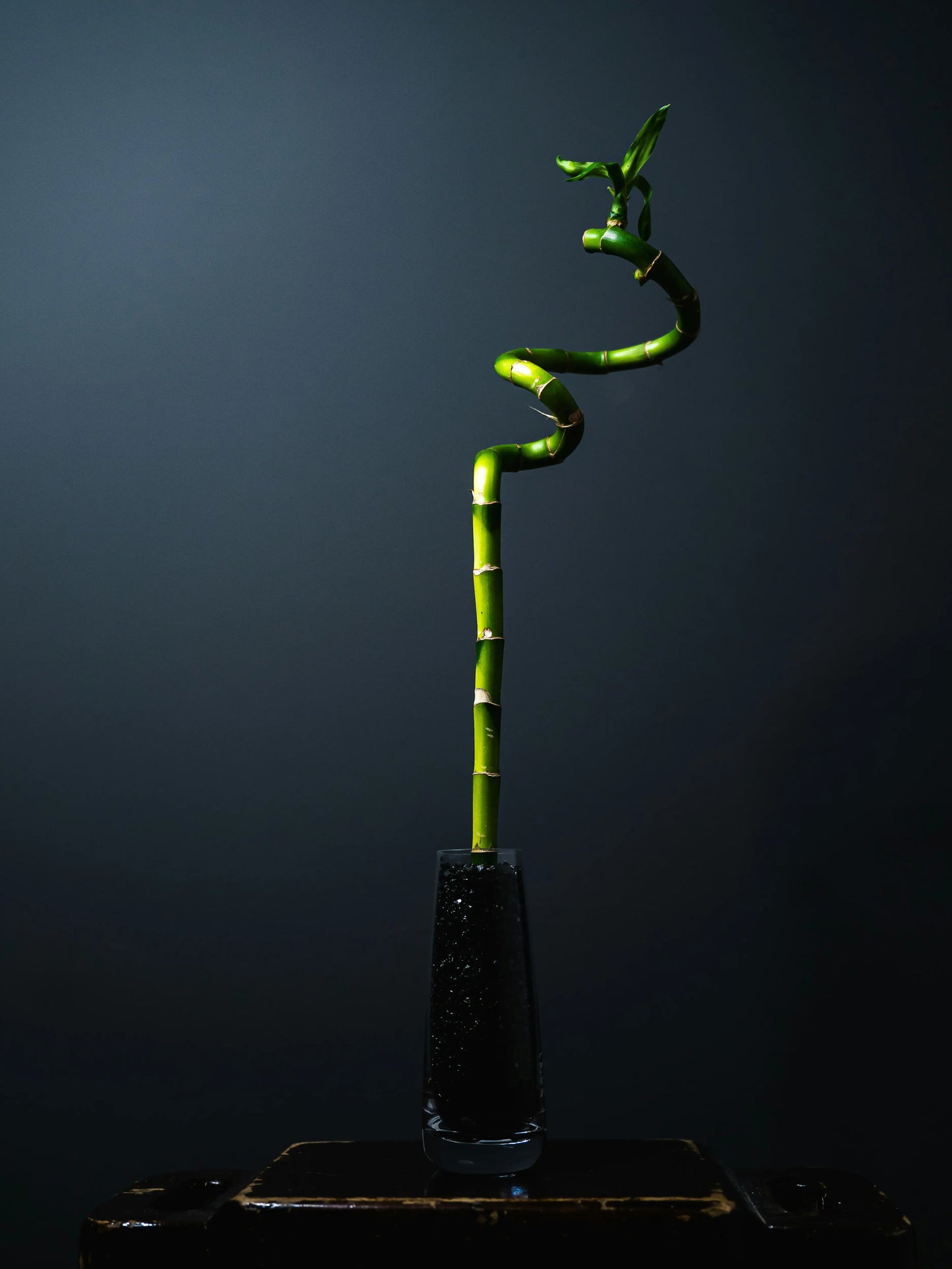 SPIRAL BAMBOO (Set of 3)