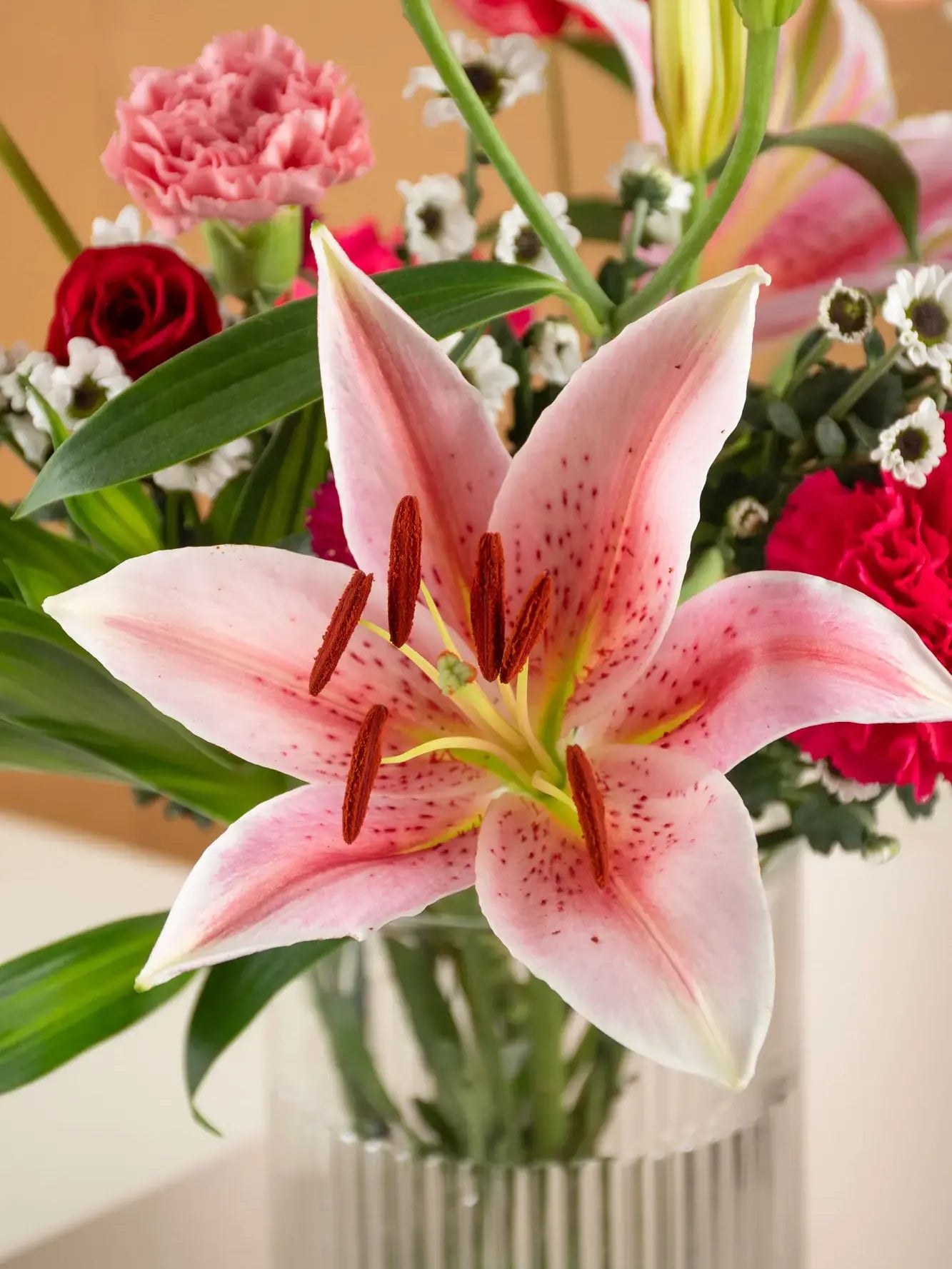 JUST FOR YOU