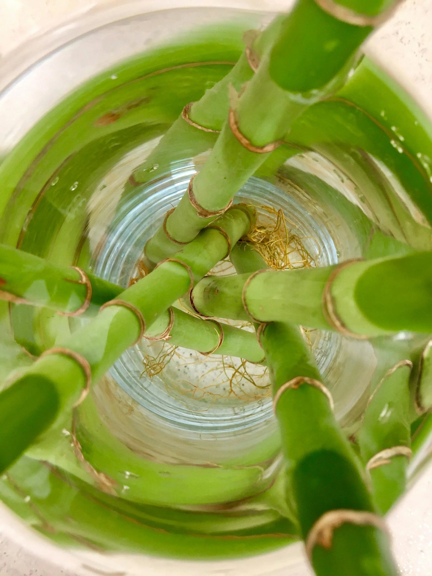SPIRAL BAMBOO (Set of 3)