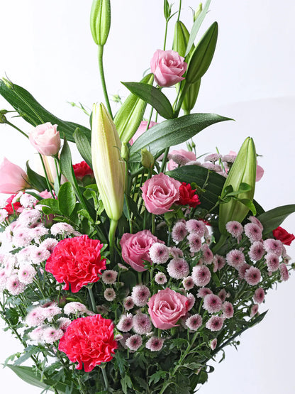 BLUSH AND BLOOM
