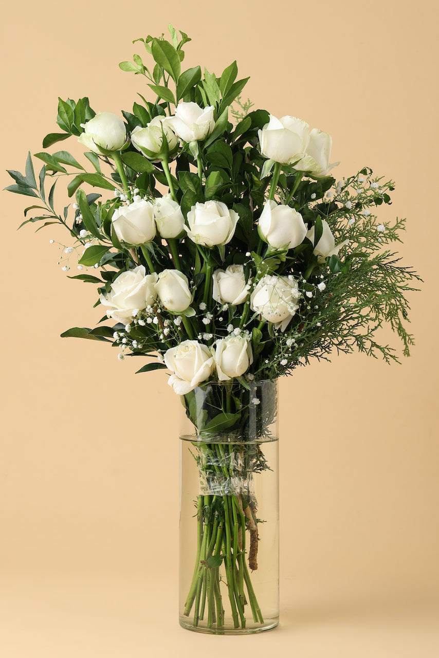 WHITE SOFTY